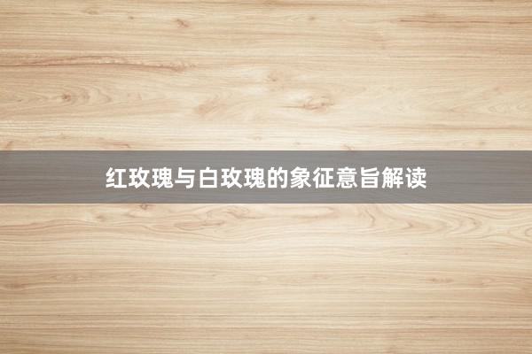 红玫瑰与白玫瑰的象征意旨解读