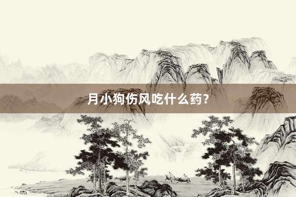 月小狗伤风吃什么药？