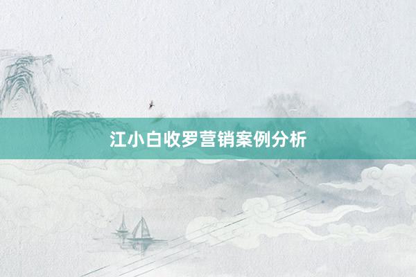 江小白收罗营销案例分析
